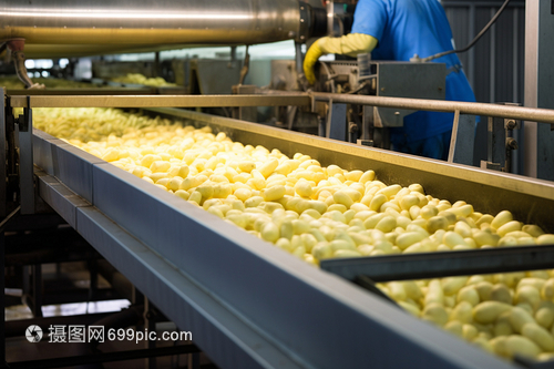 现代化食品加工厂 科技赋能下的高效、安全与可持续